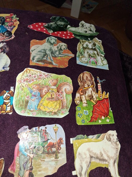galleryimage 3