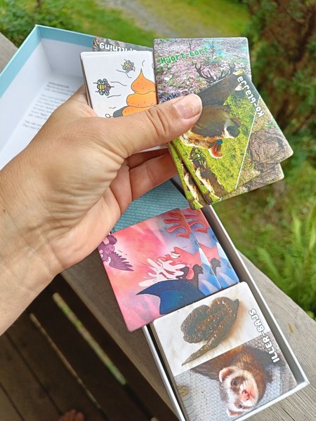 galleryimage 3