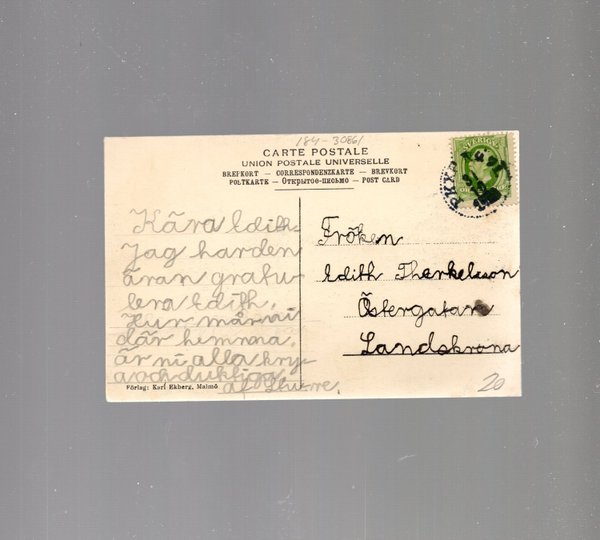 galleryimage 2 zoomed in