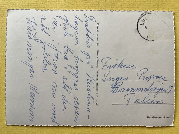 galleryimage 2 zoomed in