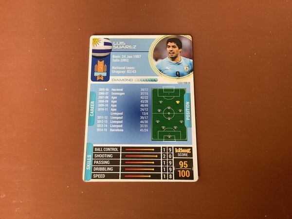 galleryimage 2 zoomed in