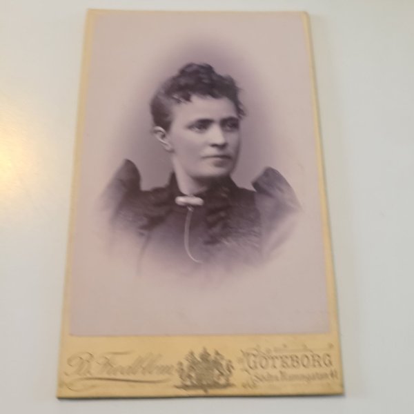 galleryimage 2