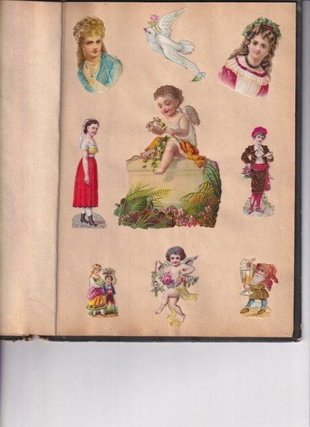 galleryimage 3