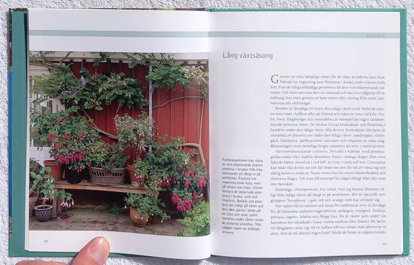 galleryimage 2