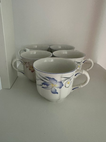 galleryimage 2