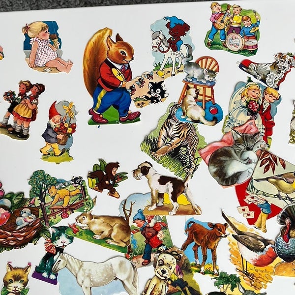 galleryimage 3
