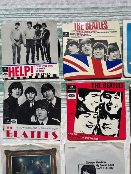 galleryimage 2