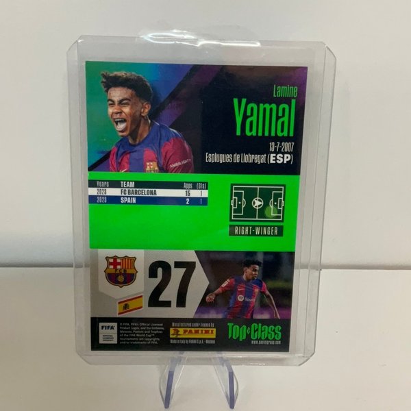 galleryimage 2 zoomed in