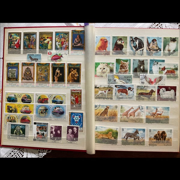 galleryimage 3