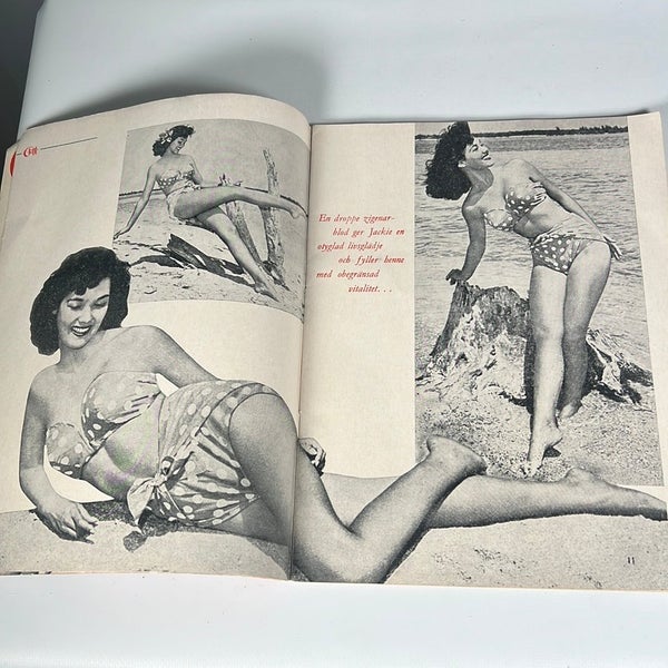 galleryimage 3