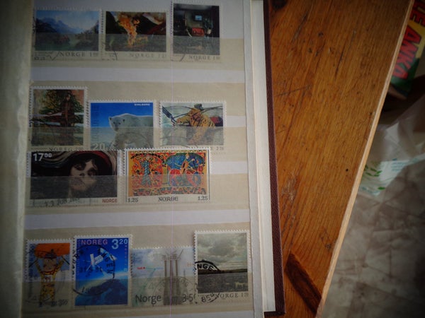 galleryimage 3