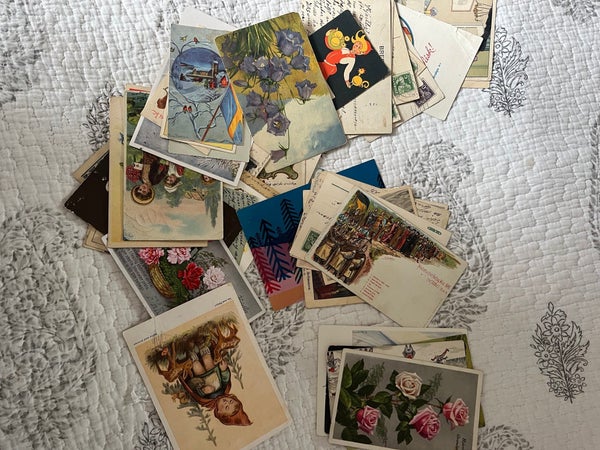 galleryimage 3
