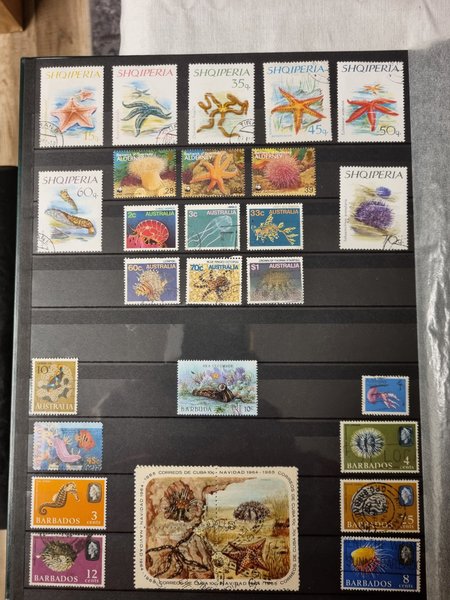 galleryimage 2 zoomed in