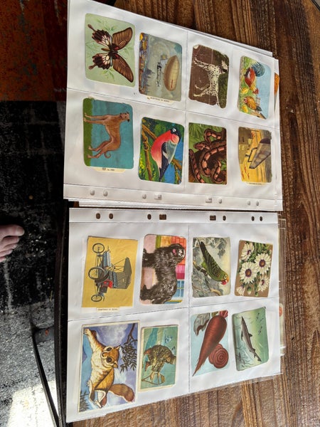 galleryimage 3