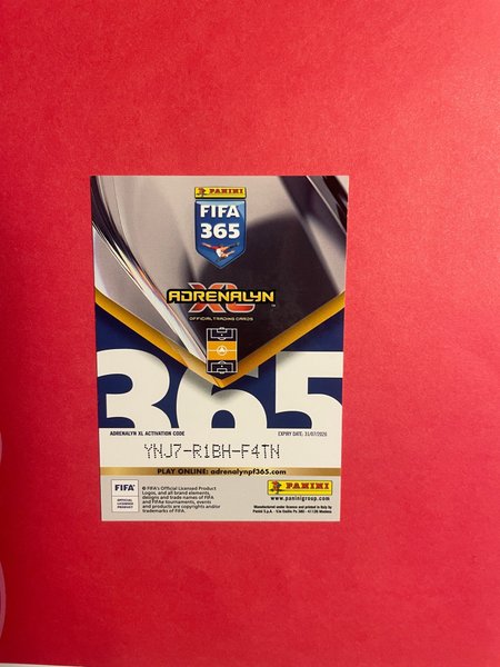 galleryimage 2 zoomed in