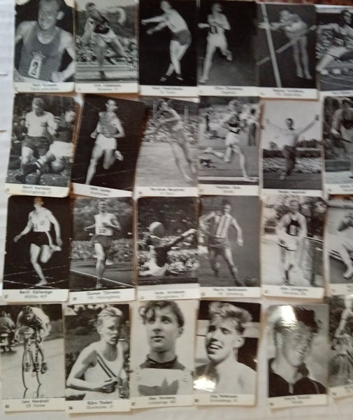 galleryimage 3