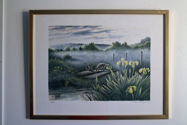 galleryimage 2