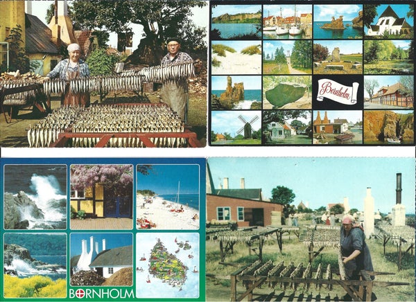 galleryimage 3