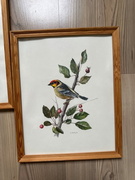 galleryimage 3