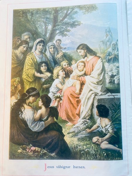 galleryimage 3