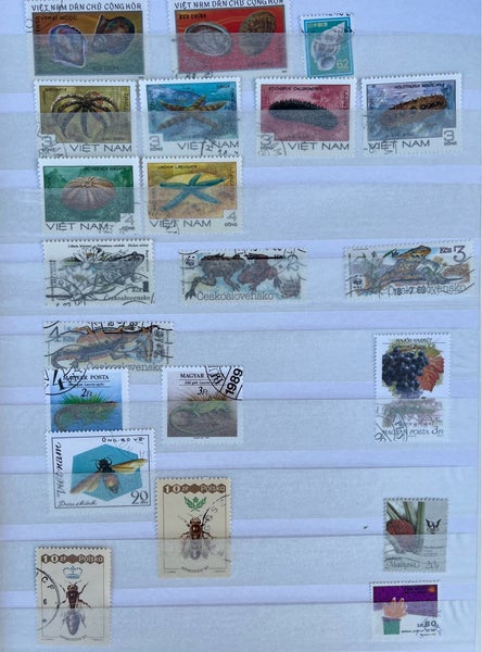 galleryimage 3