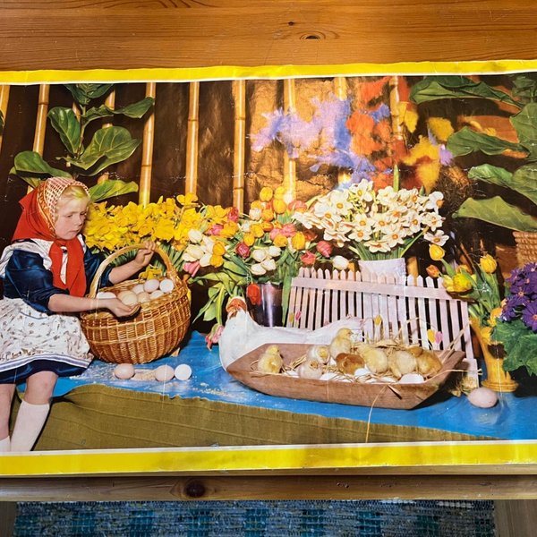 galleryimage 3