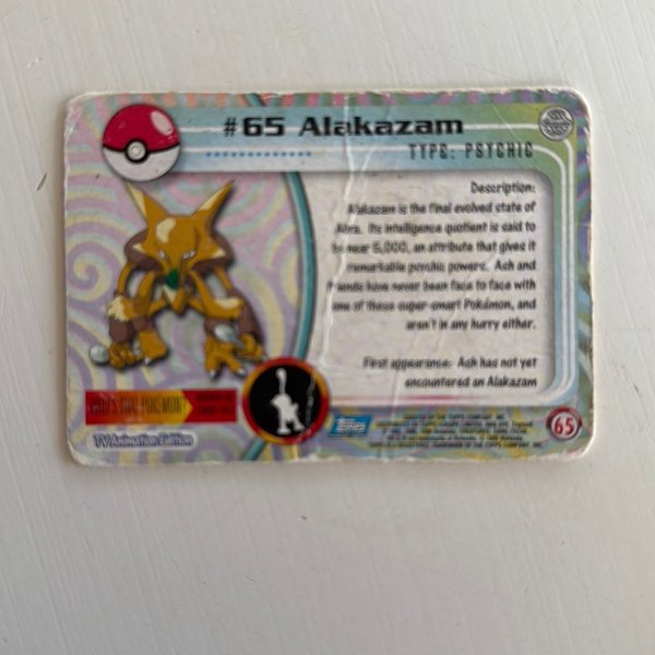 galleryimage 2 zoomed in