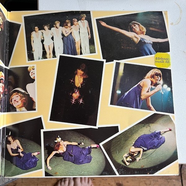 galleryimage 3