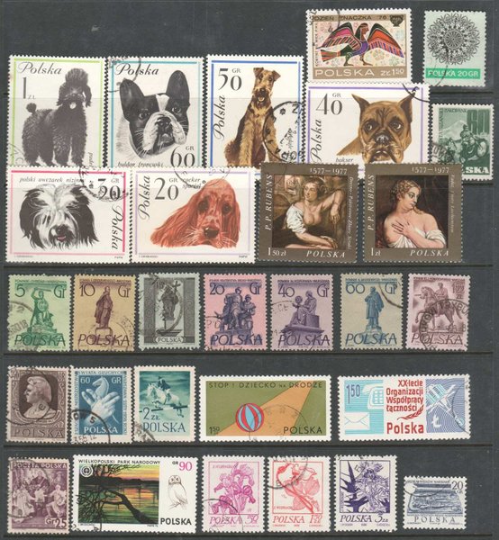 galleryimage 2