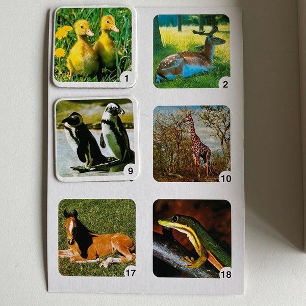 galleryimage 3