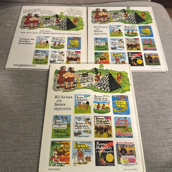 galleryimage 2 zoomed in