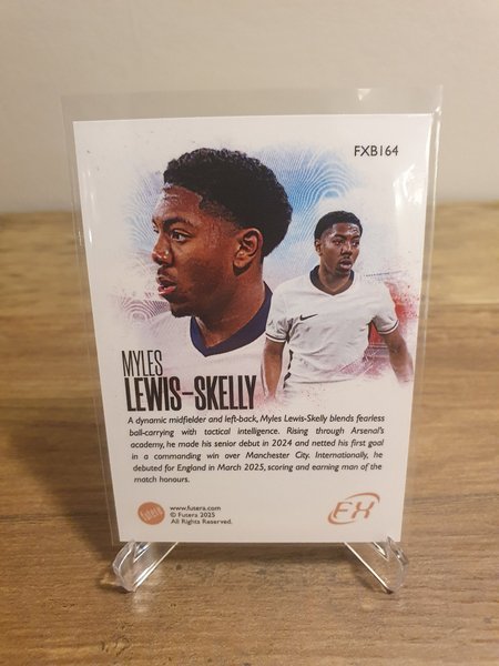 galleryimage 2 zoomed in