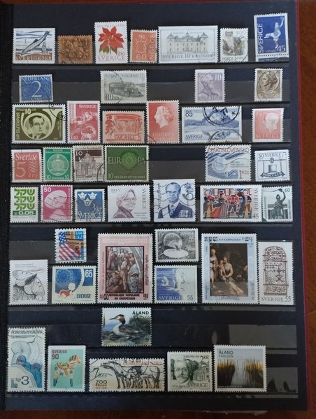 galleryimage 2 zoomed in