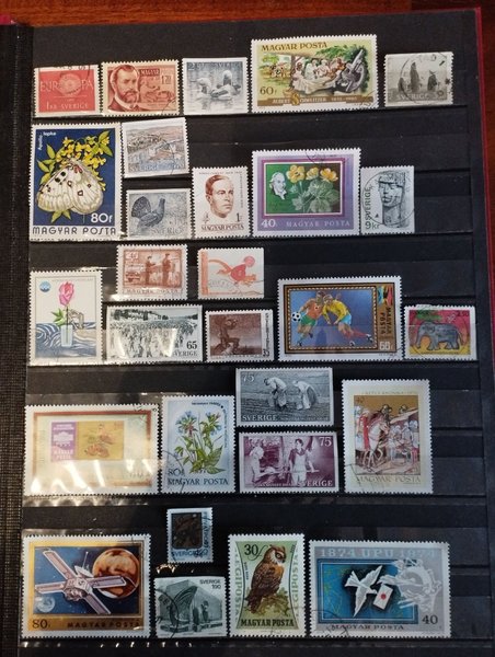 galleryimage 2 zoomed in