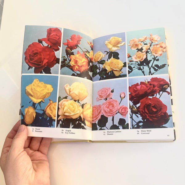 galleryimage 3