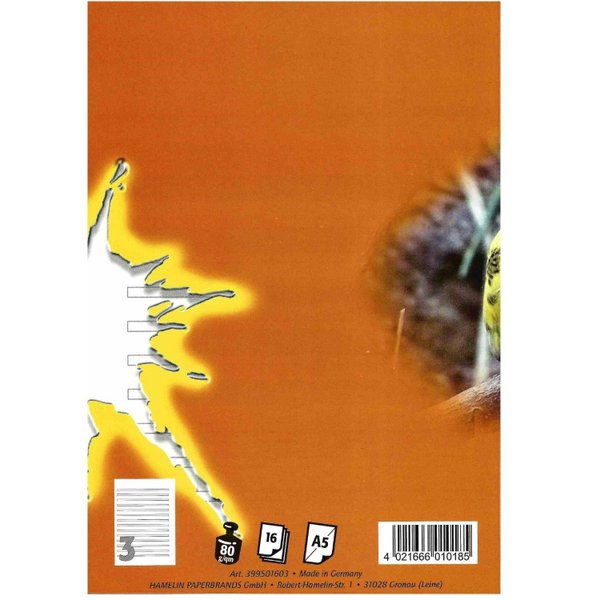 galleryimage 2
