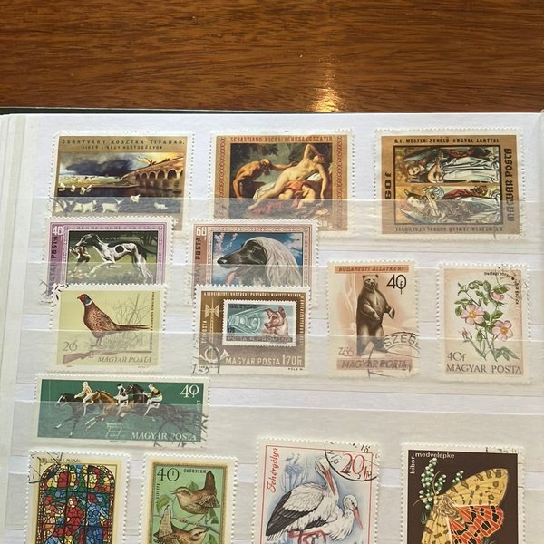 galleryimage 3