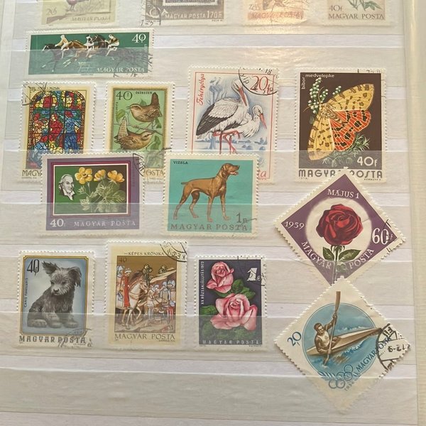 galleryimage 2