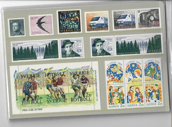 galleryimage 3
