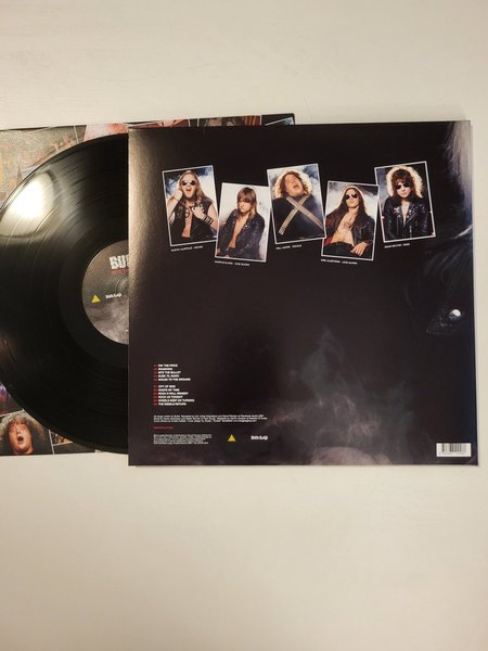 galleryimage 2 zoomed in