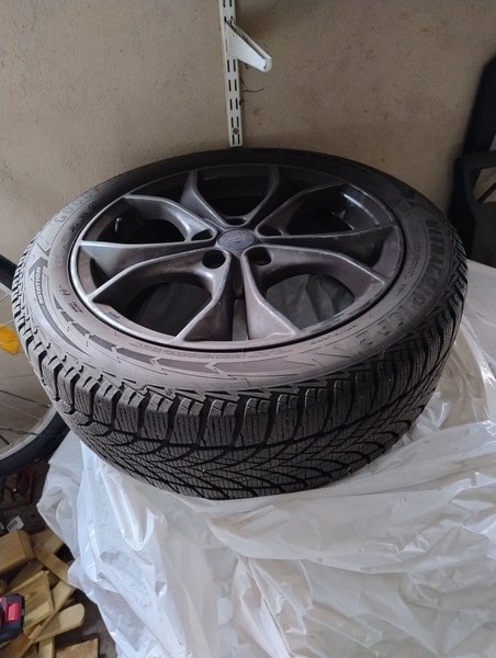 galleryimage 2 zoomed in