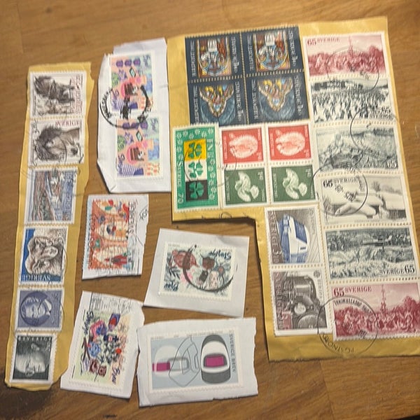 galleryimage 2