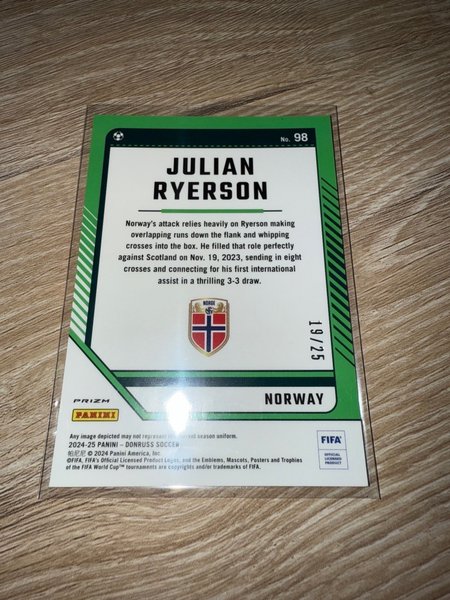 galleryimage 2 zoomed in