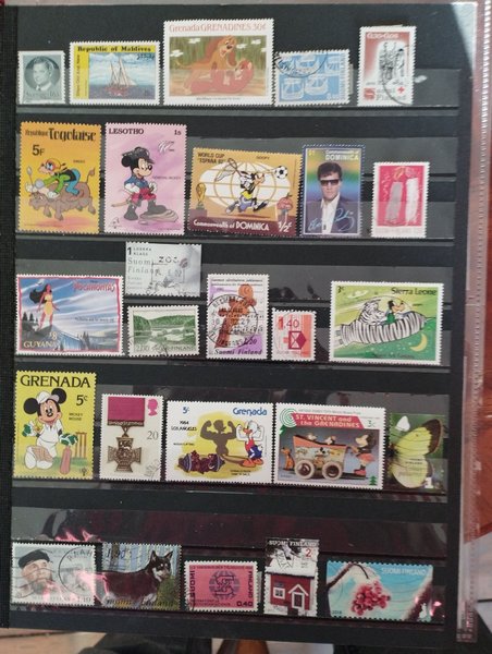 galleryimage 2 zoomed in