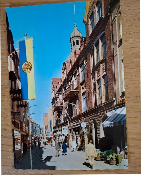 galleryimage 2