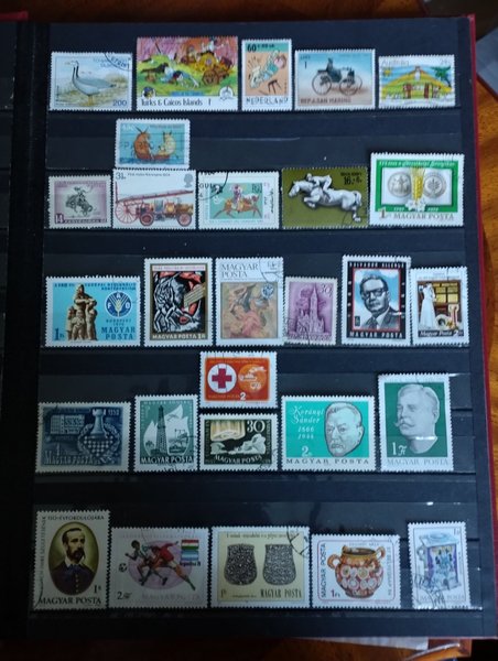 galleryimage 2