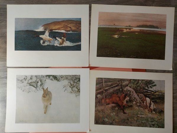 galleryimage 2