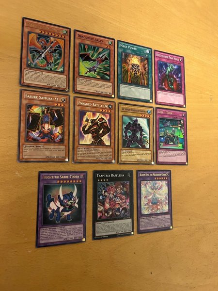 galleryimage 2