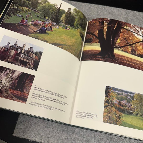 galleryimage 3