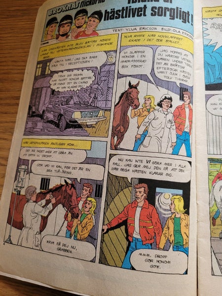 galleryimage 3
